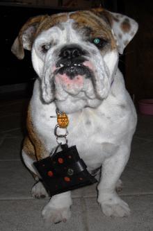 Lola with Engrish Retreads coin purse.