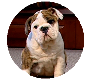 'Lola' child star of our T V commercial!