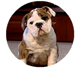 'Lola' child star of our T V commercial!